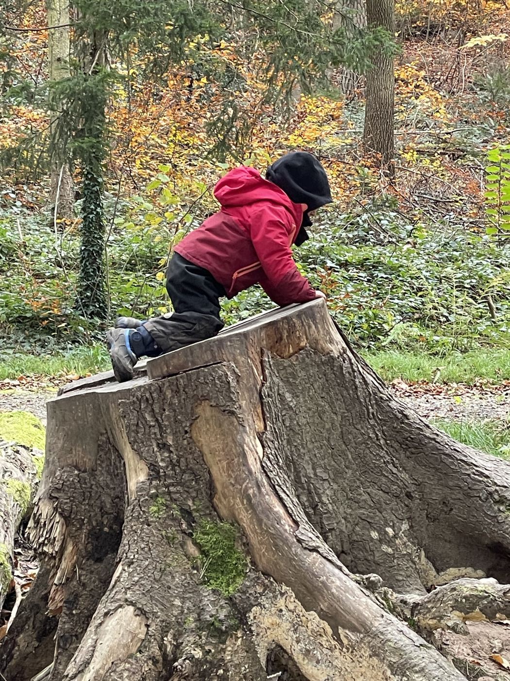 Ein Kind klettert auf einen Baumstumpf