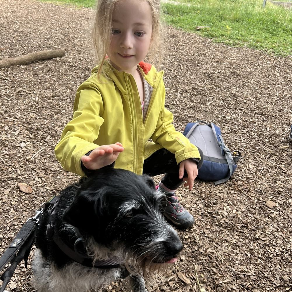Ein Kind streichelt Hündin Ella auf dem Waldplatz