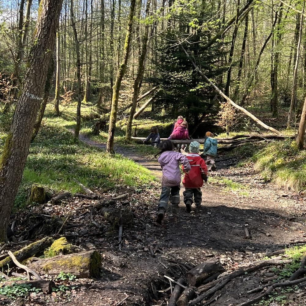 Kinder unterwegs auf dem morgendlichen Waldweg