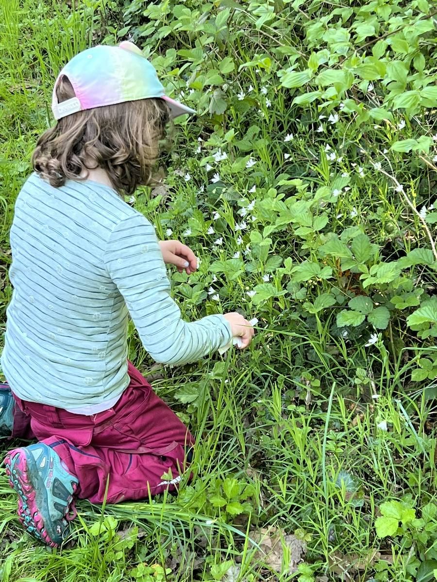 Frühling bei den Waldstrolchen: ein Kind kniet im frischen Grün und pflückt weiße Blüten