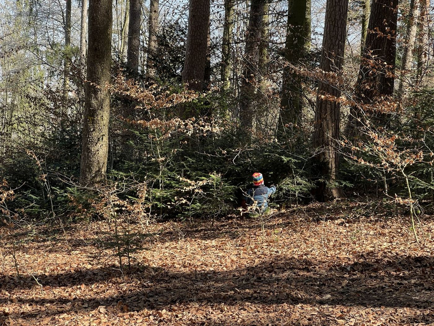 Ein Kind sitzt allein im Dickicht zwischen den Bäumen