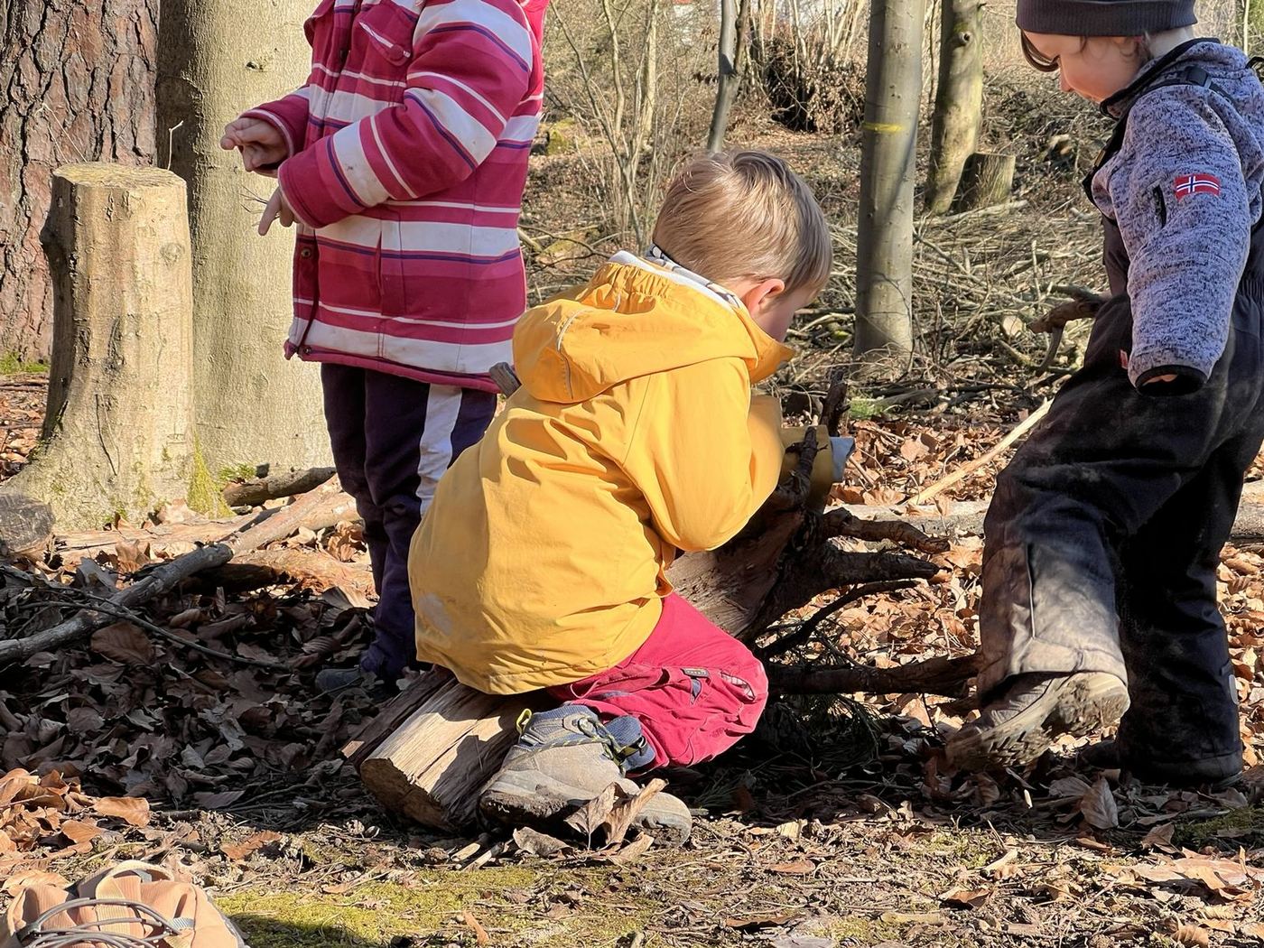 Drei Kinder untersuchen gemeinsam einen liegenden Baumstamm